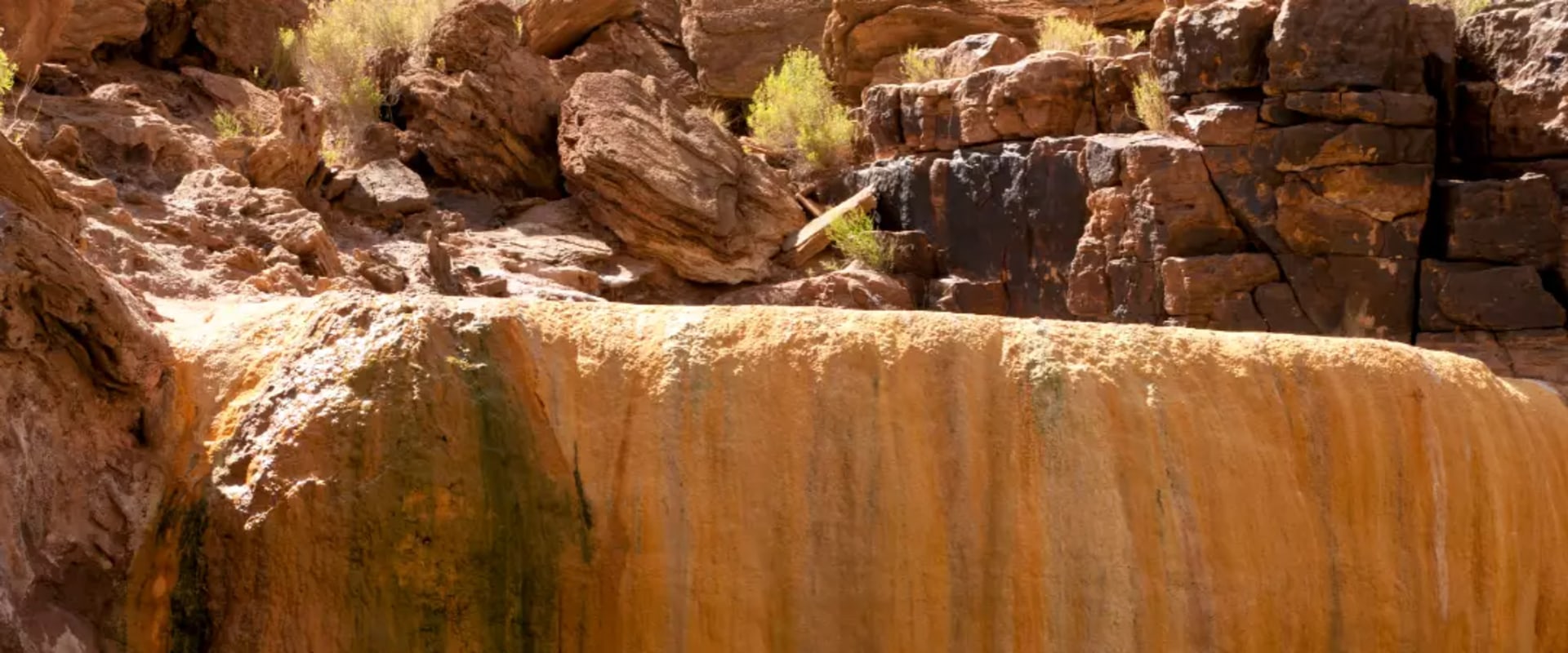 Discover the Hidden Gem of Security-Widefield