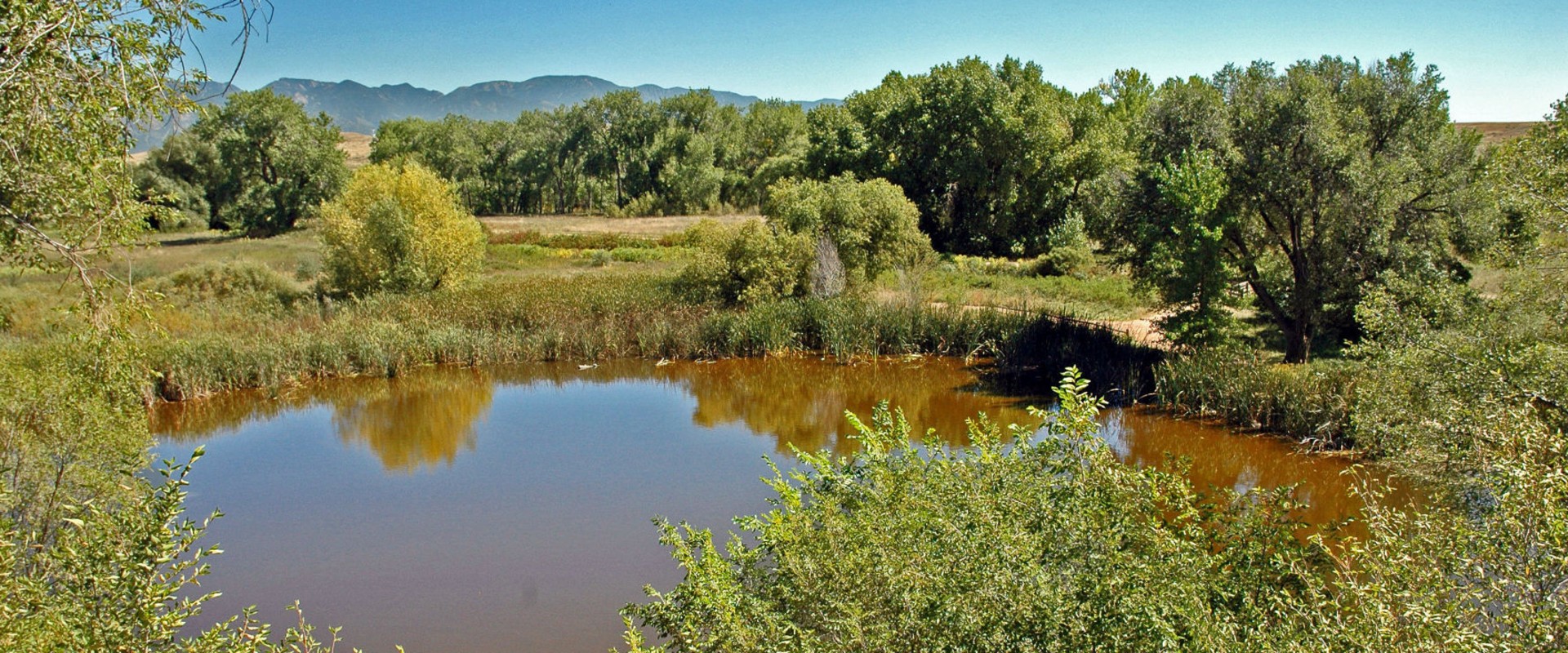 Exploring Fountain Creek: A Must-Try Activity in Colorado Springs