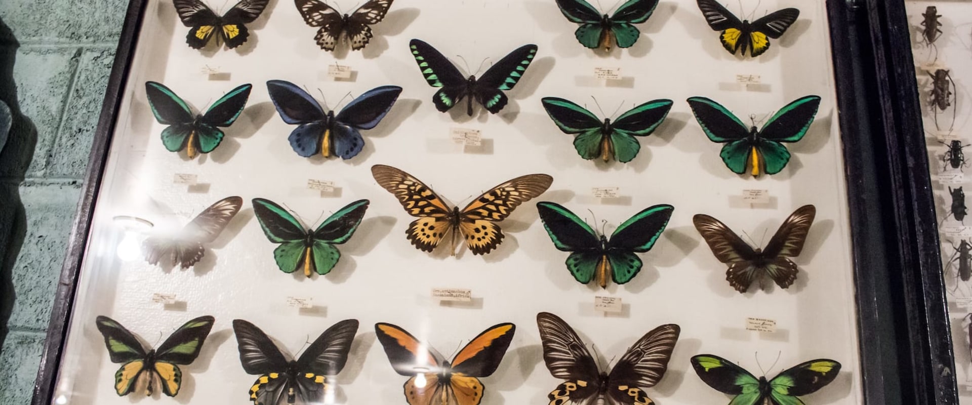Discover the Fascinating World of Museums in Colorado Springs