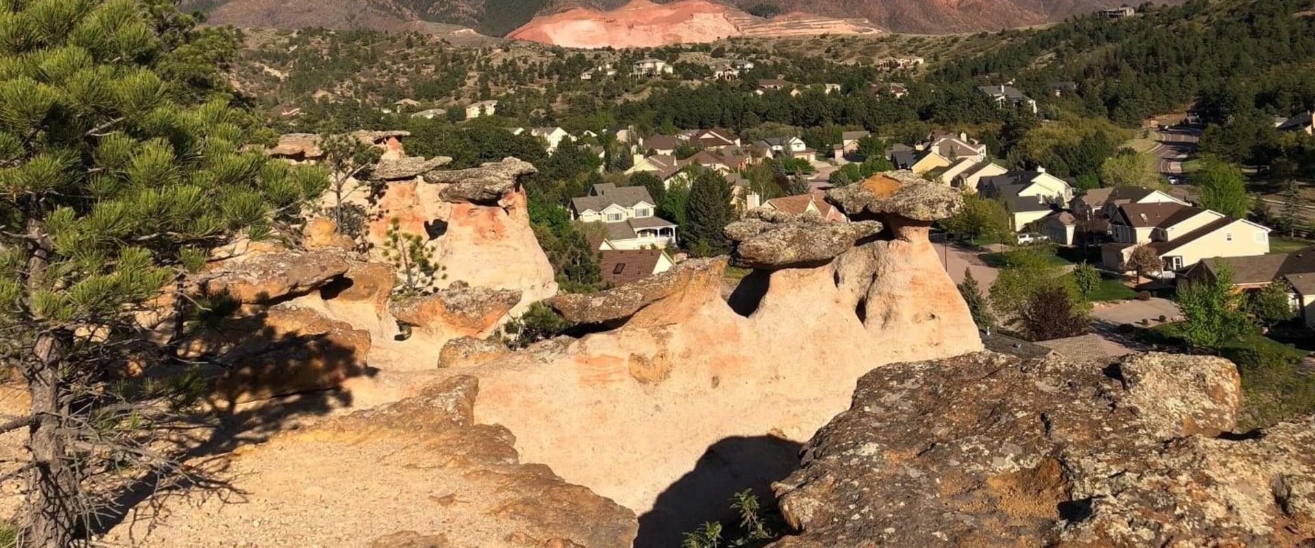 Discover the FamilyFriendly Neighborhood of Peregrine in Colorado Springs