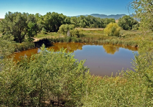 Exploring Fountain Creek: A Must-Try Activity in Colorado Springs